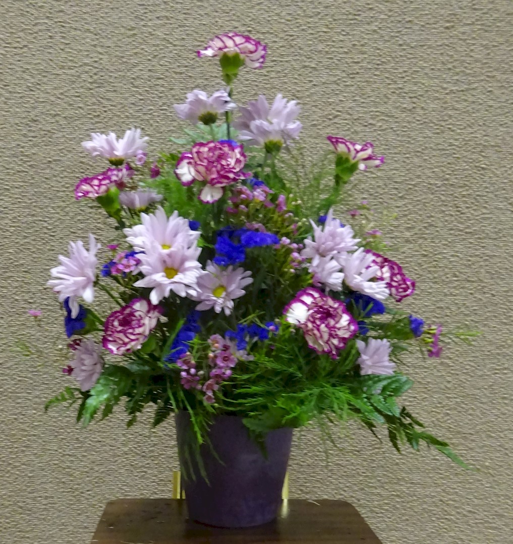 Flowers from City of Wall