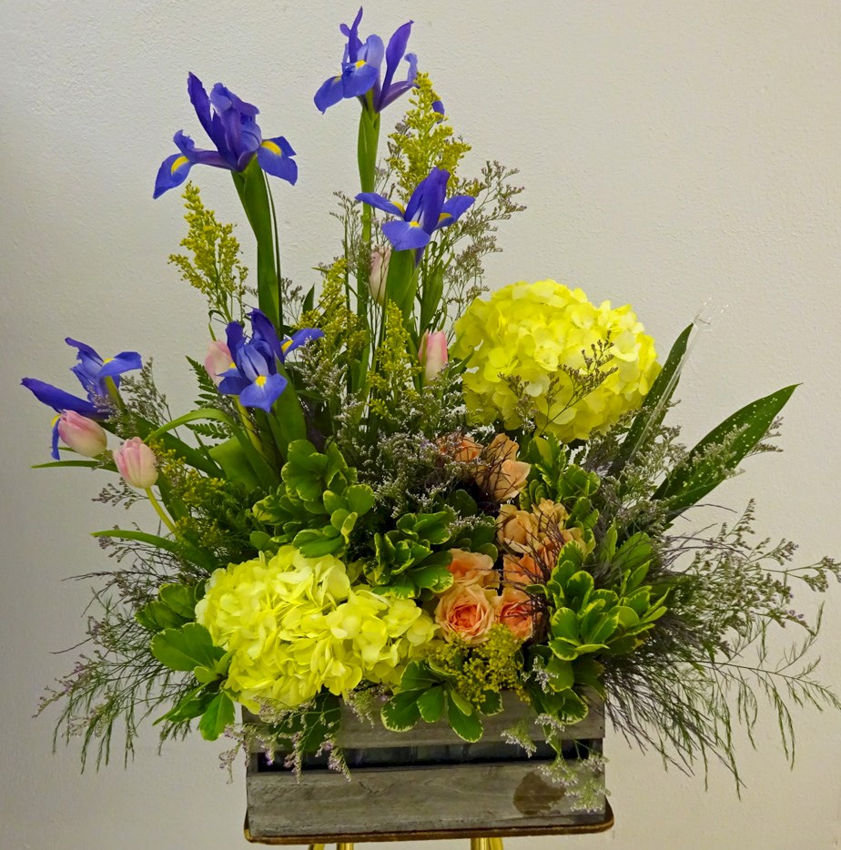 Flowers from Mike Ziegler