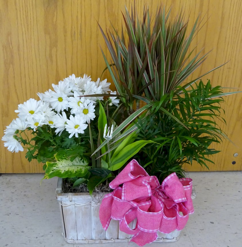 Flowers from Mackintosh Family - Art, Terry, Greta, DeeDee, Austin, Andy, Sarah, and Families
