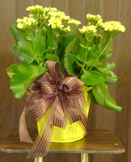 Flowers from Ken and Glenda Marks, and Chris, Kara, and Maya Lammers