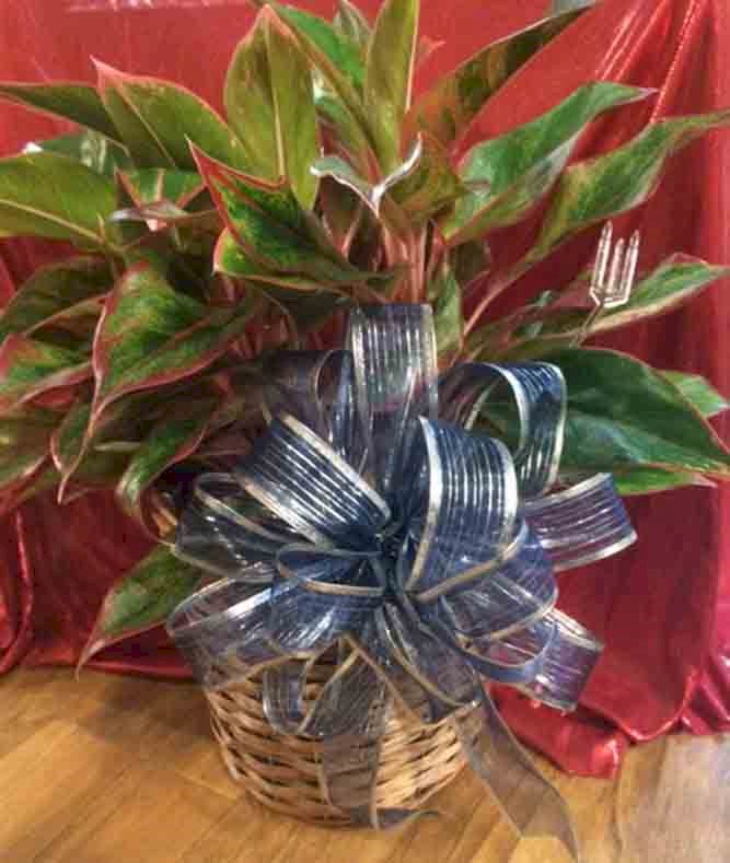 Flowers from Sunset Manor