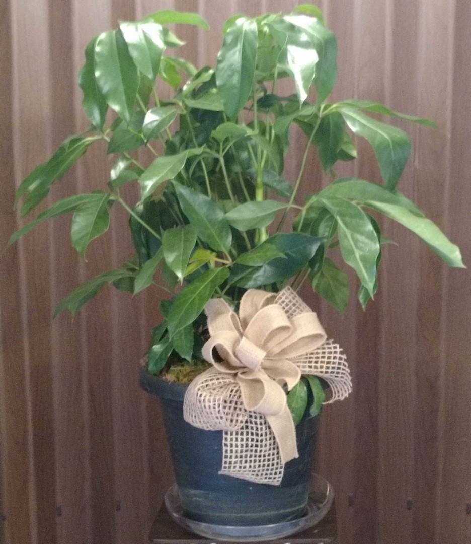 Flowers from Rhonda Antonsen and Family