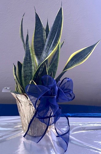 Flowers from Carylon, Mandie, and Bonnie