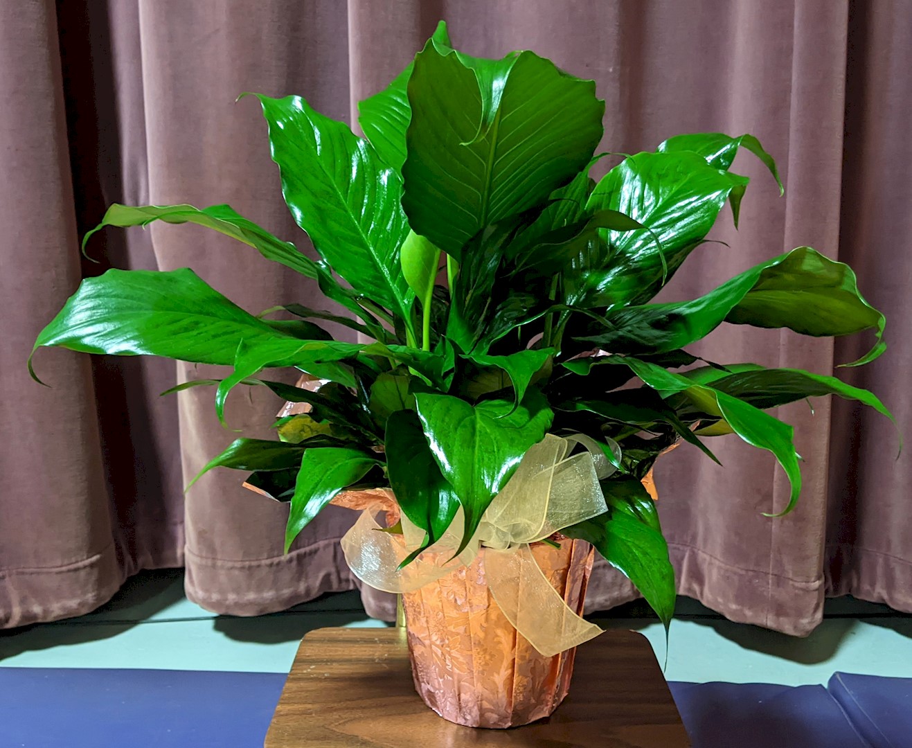 Flowers from Kadoka Area School Staff and School Board