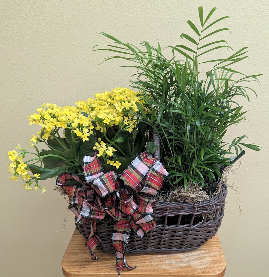Flowers from Class of '92
