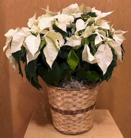 Flowers from All of us at Sioux Nation