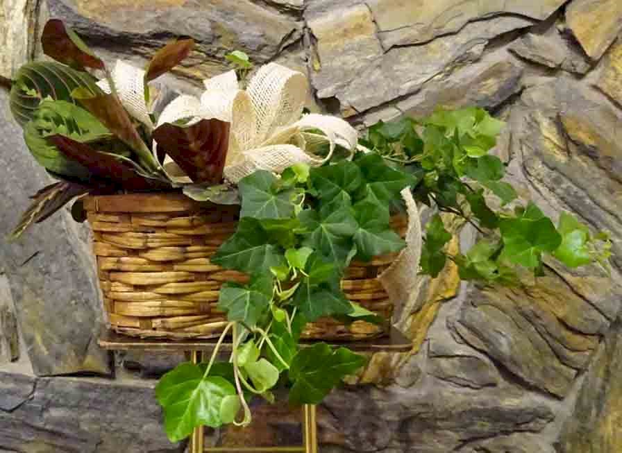 Flowers from Granny Scott and Amy Scott