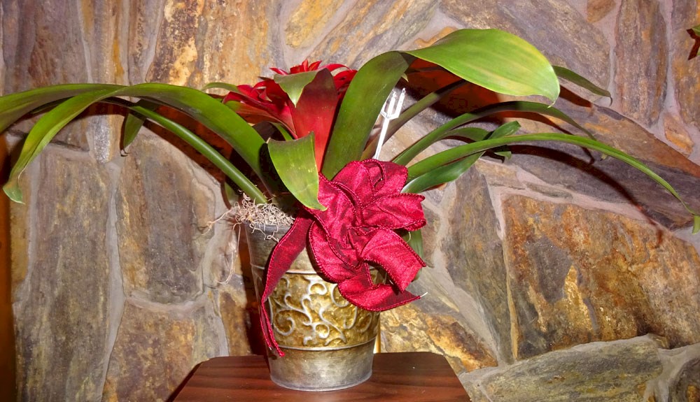Flowers from Philip School Staff