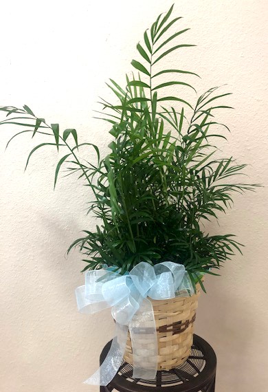 Flowers from Winner Regional Nursing Home Staff and Administration