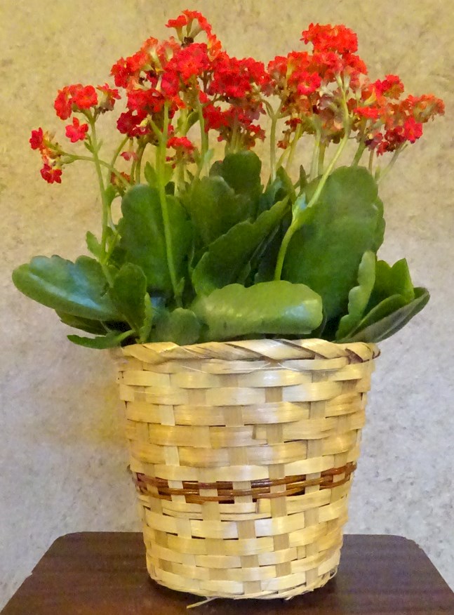 Flowers from Dawn and Russell Simons