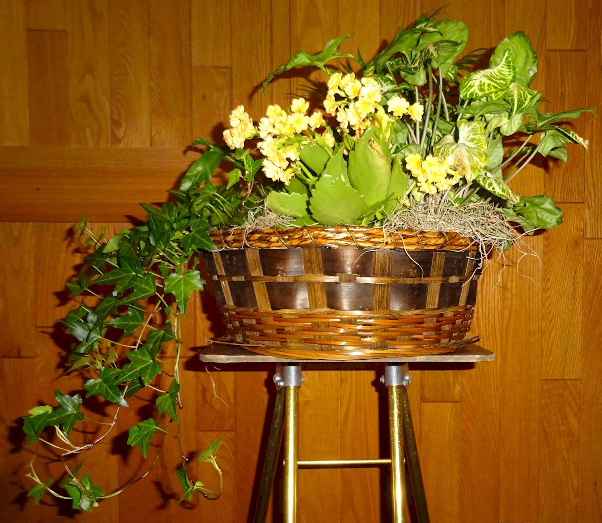 Flowers from The Watson Families