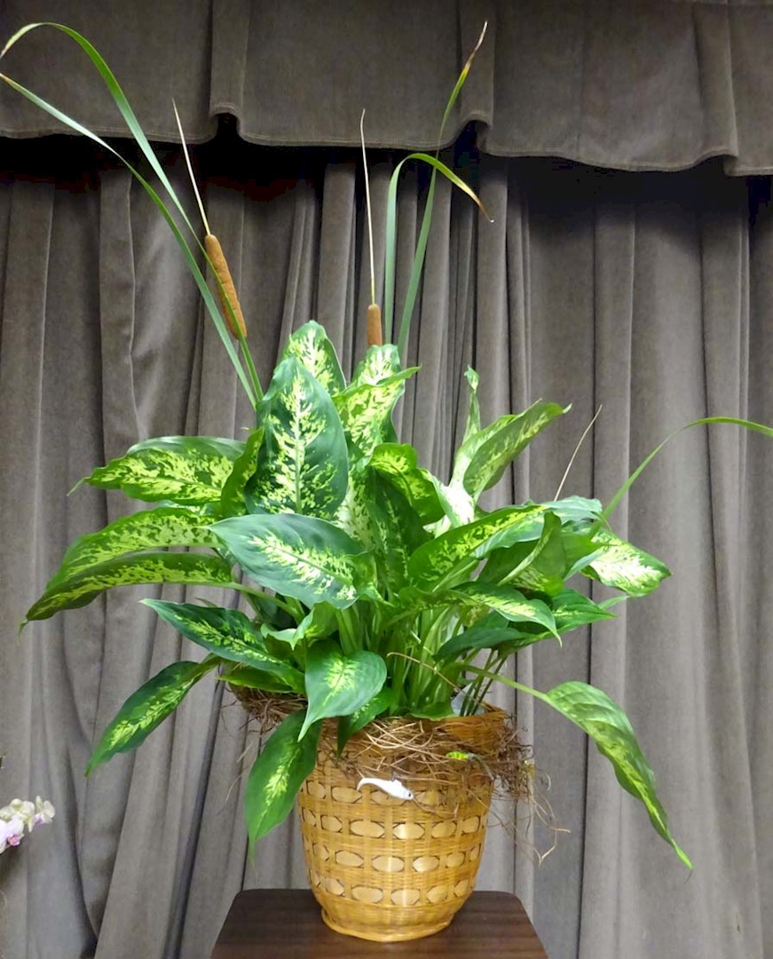 Flowers from West Central Electric