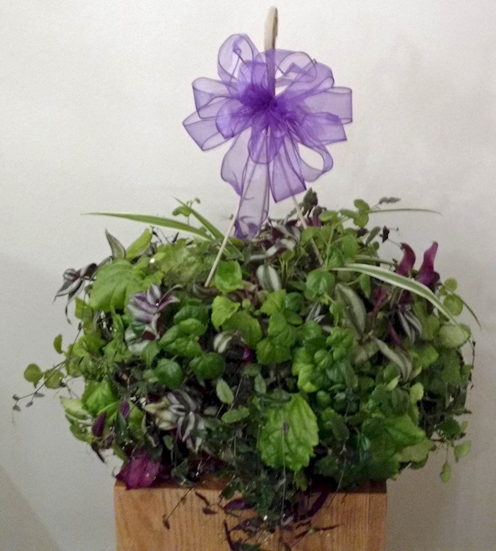 Flowers from Armtech Crop Services - Roberta Donovan