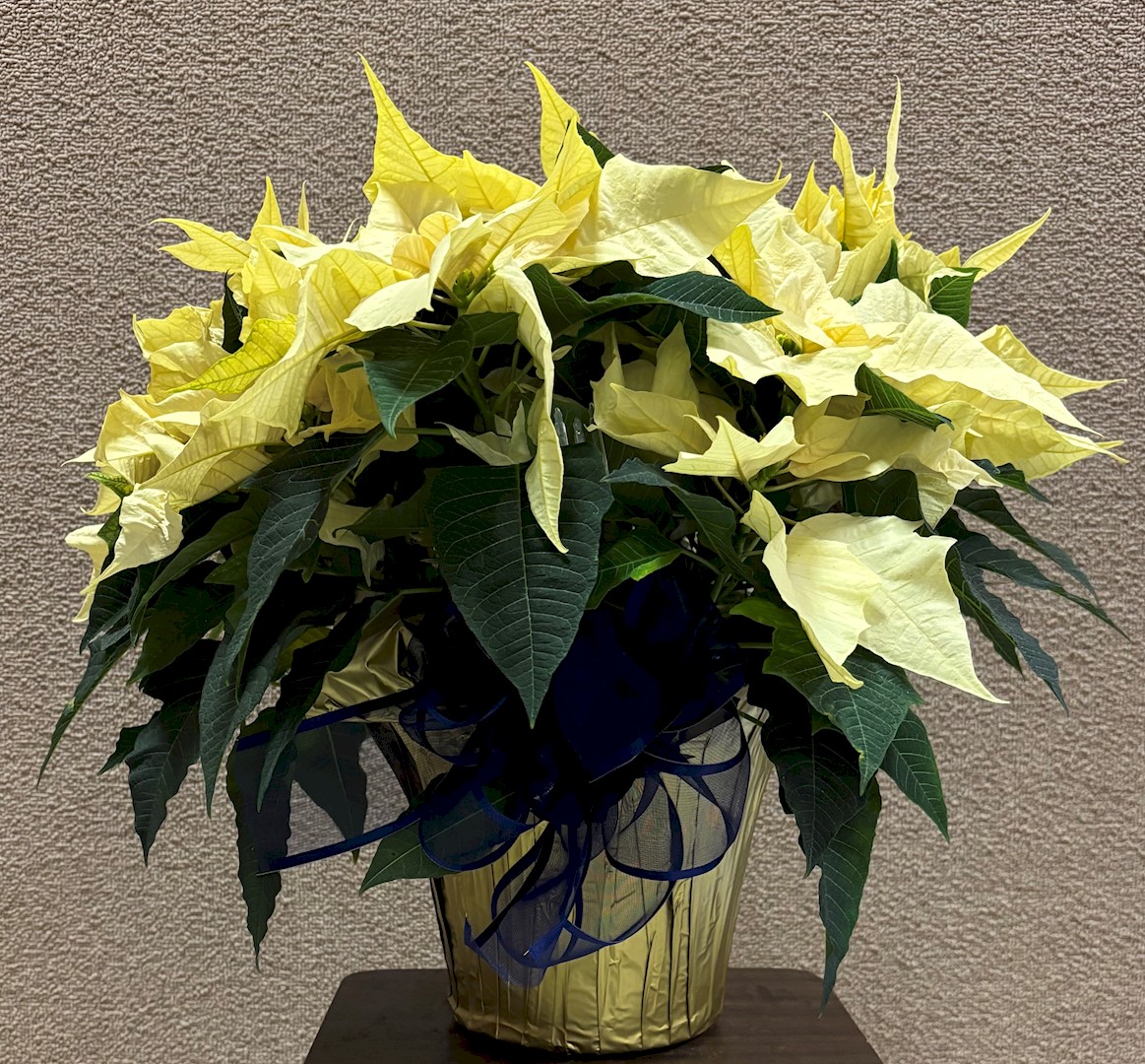 Flowers from Evangelical Free Bible Church