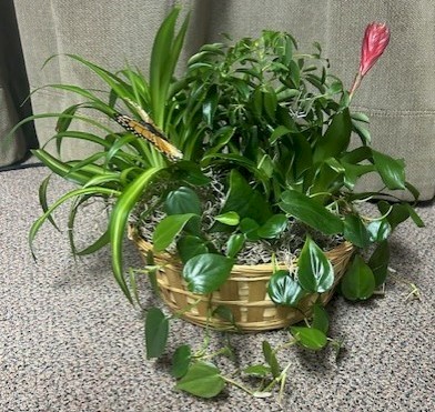 Flowers from Troy and Dawn Rames and Family and Brandon and Carrilee May and Family