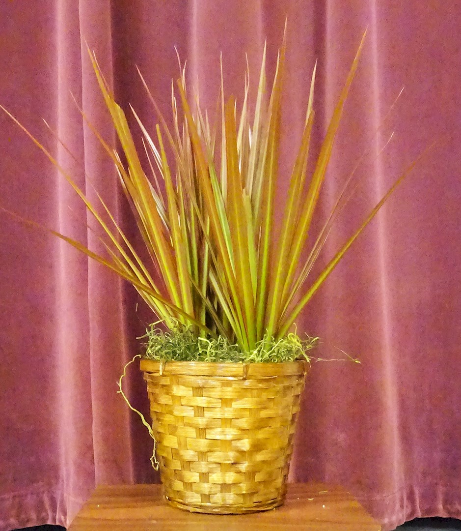 Flowers from Kadoka Nursing Home Staff, Residents, and Board of Directors