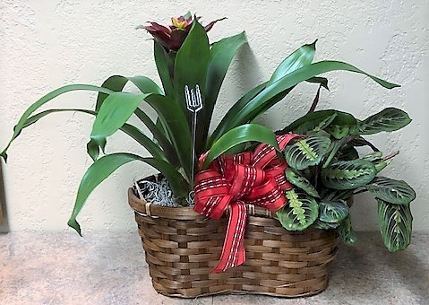Flowers from Kari and Mark McKernon and Family