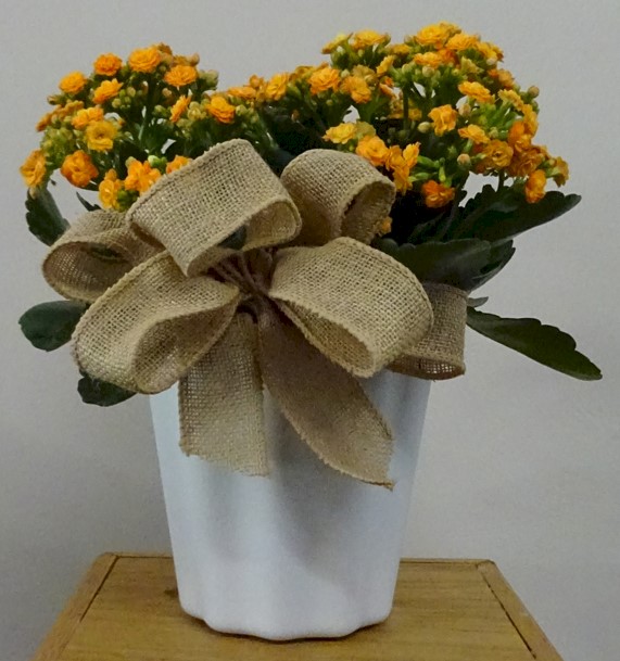 Flowers from Dakota Country Pharmacy