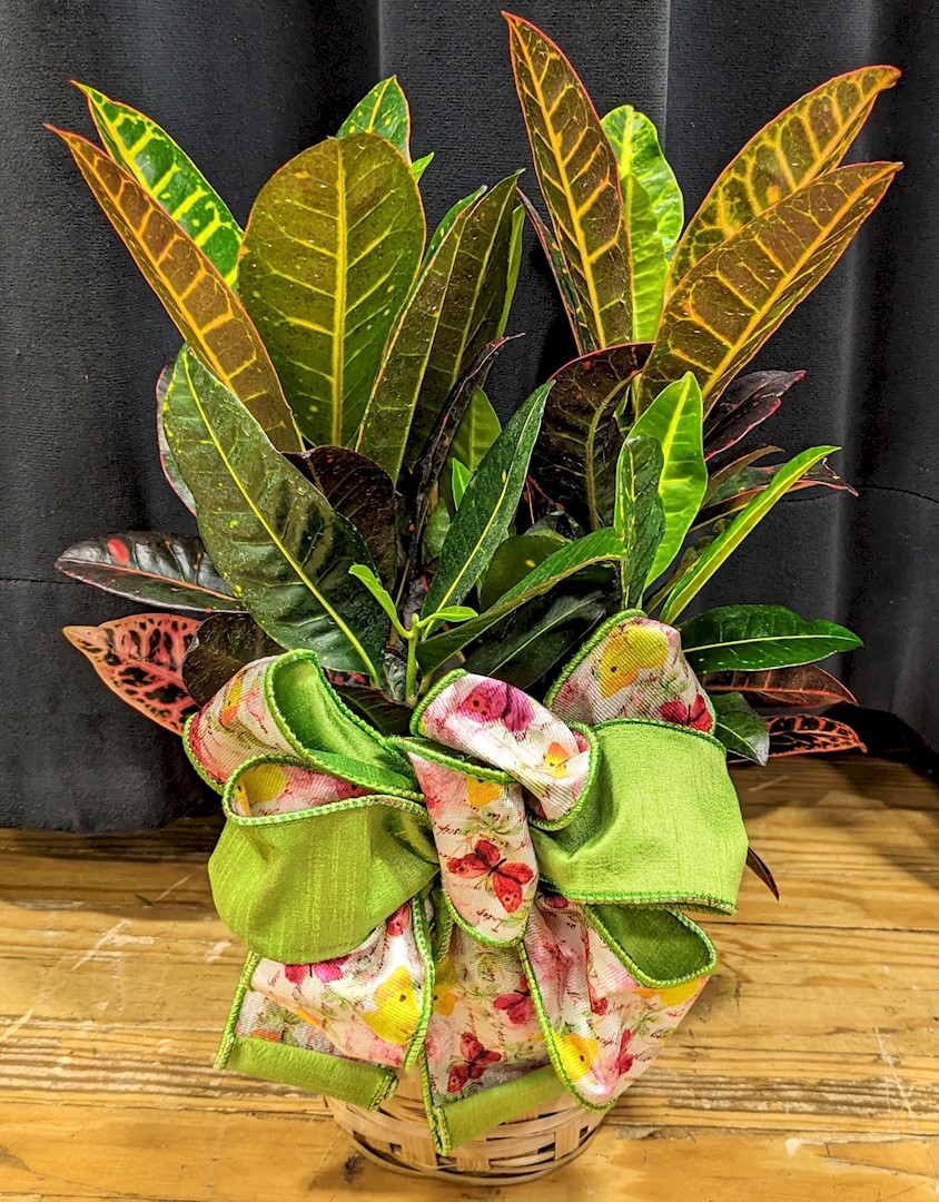 Flowers from South Dakota Association of Agriculture Educators