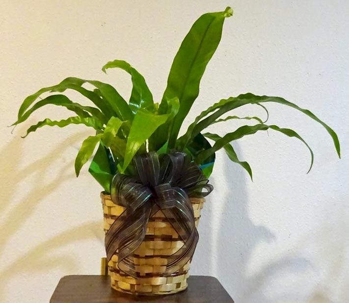 Flowers from Pride Grain - Marvin Coats and Employees