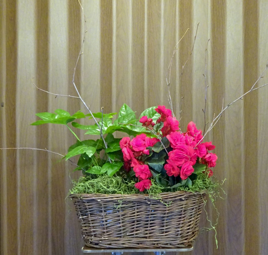 Flowers from Kenny and Gay Lange