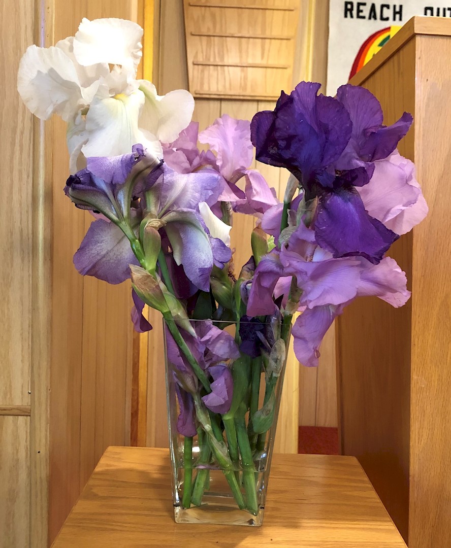 Flowers from Family