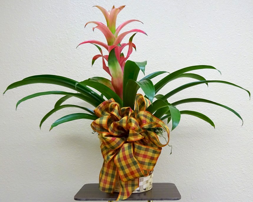 Flowers from West River Electric Board of Directors, Staff, and Employees