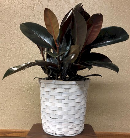 Flowers from The Kadoka Nursing Home Residents, Staff and Board of Directors