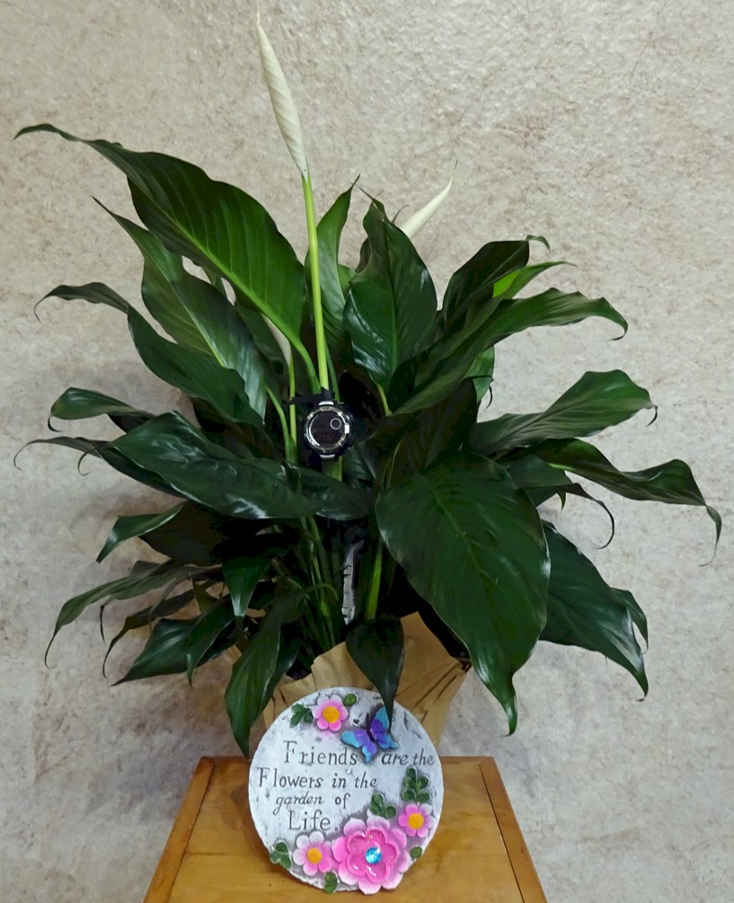 Flowers from Bonna and Roger and Cory, Alicia, and Family