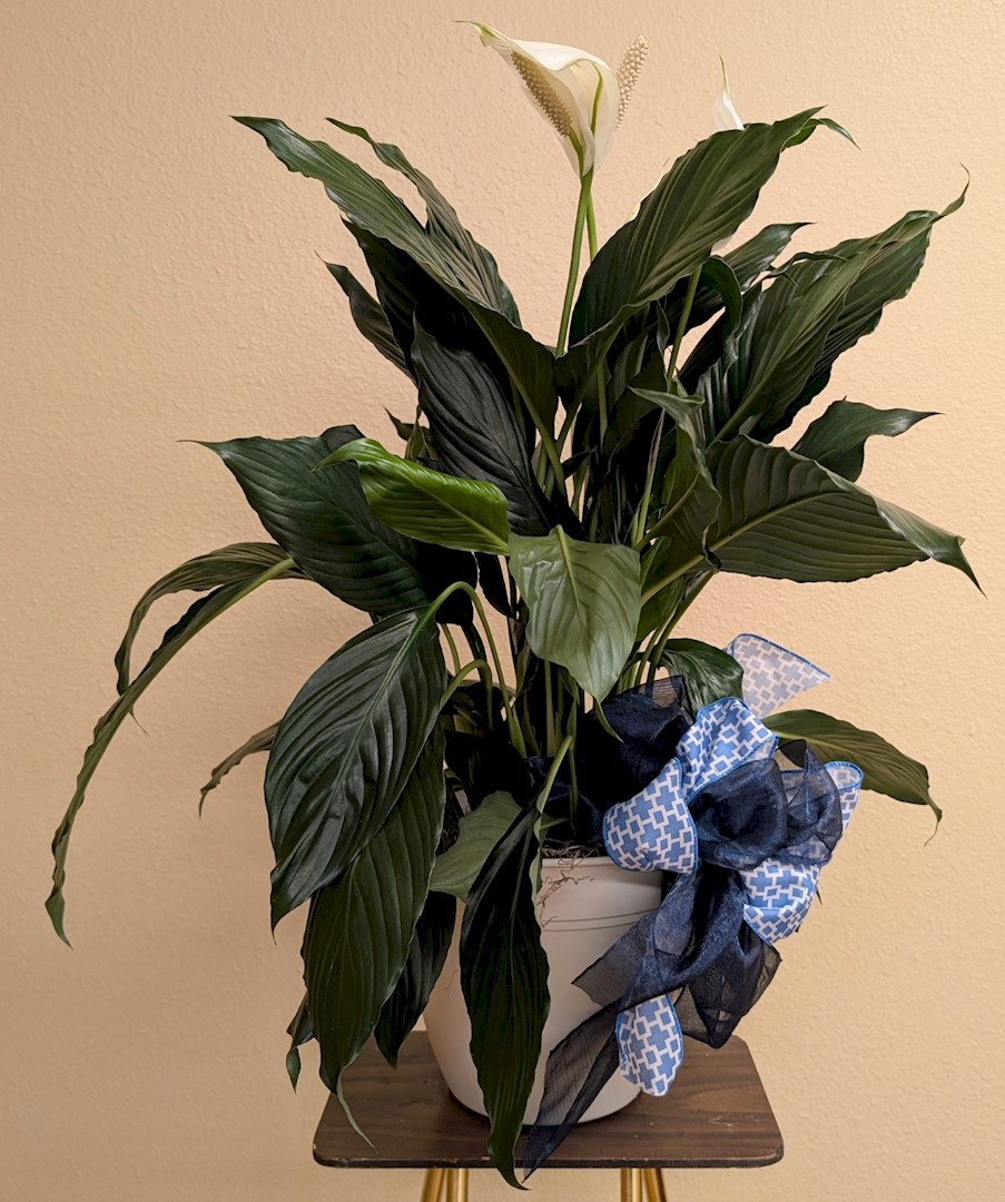 Flowers from Your Avera Family