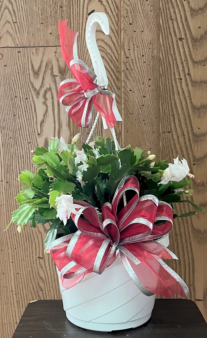 Flowers from Mark, Karen, Kathleen, Jaden, and Jeanne Hansen