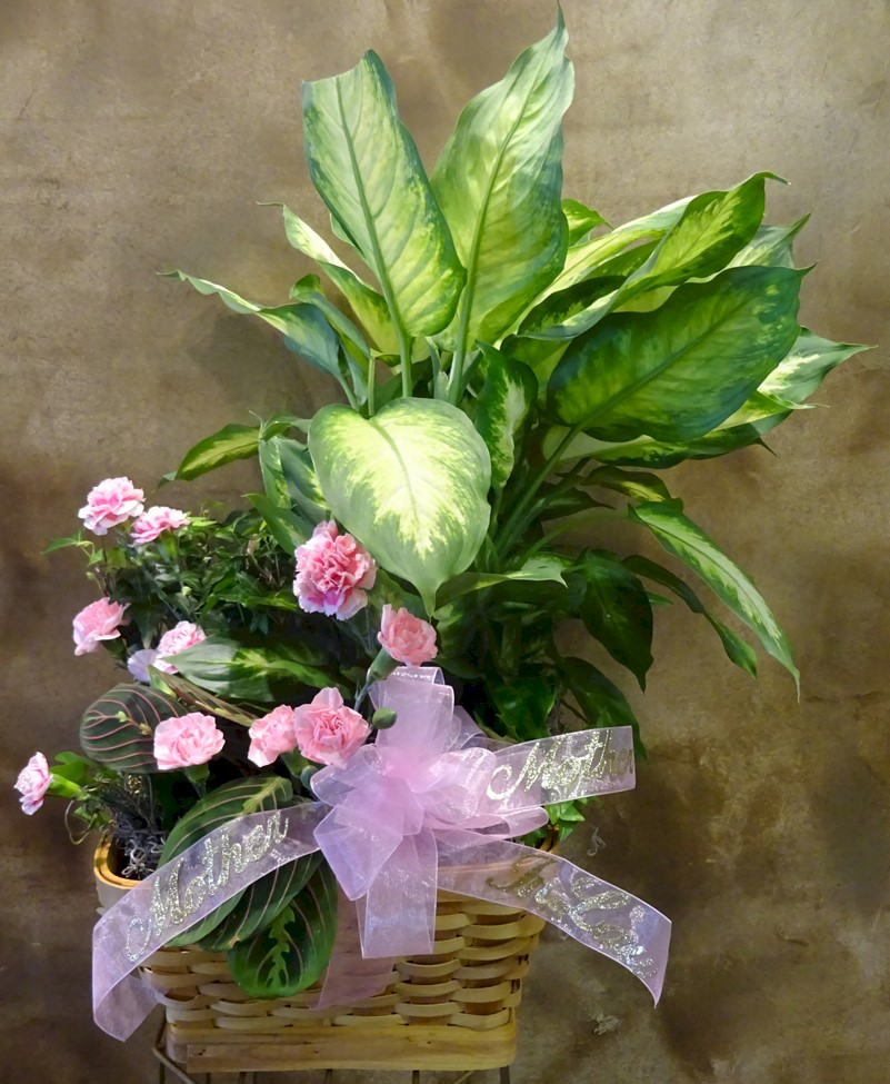 Flowers from "Mother" "Mother-in-Law"
