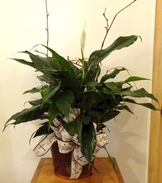 Flowers from KLJ