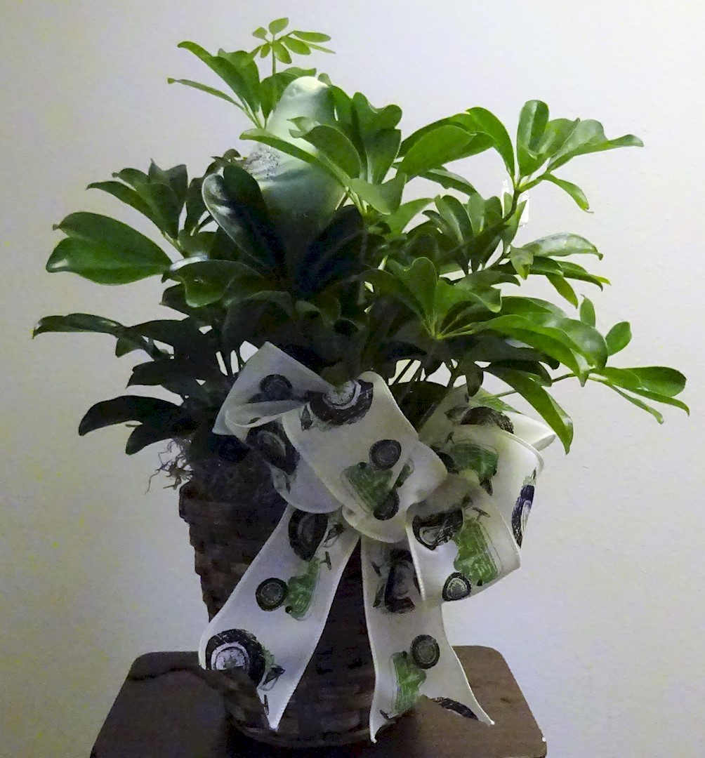 Flowers from Tice and Poseley Families