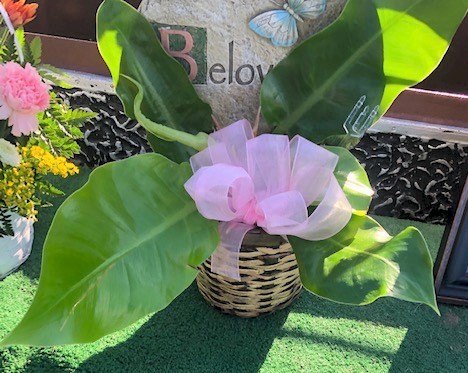 Flowers from Laurel Hildebrand and Rusty Olney