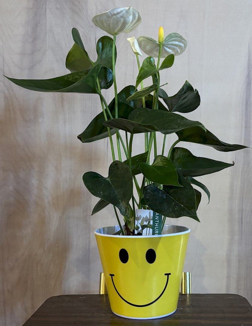 Flowers from Tharaldsen, Block, and Block