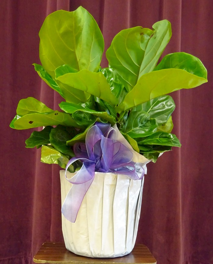 Flowers from Kadoka Area School Board, Administration, and Staff