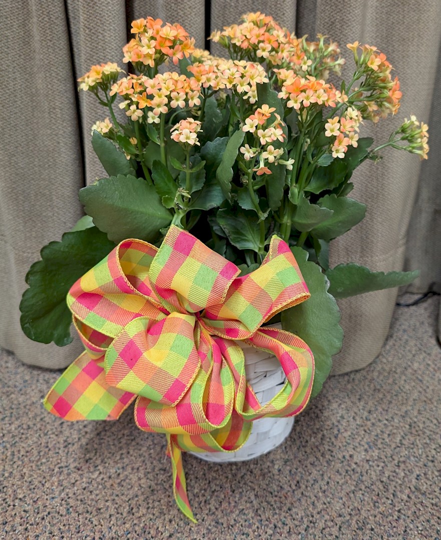 Flowers from Dakota Country Pharmacy
