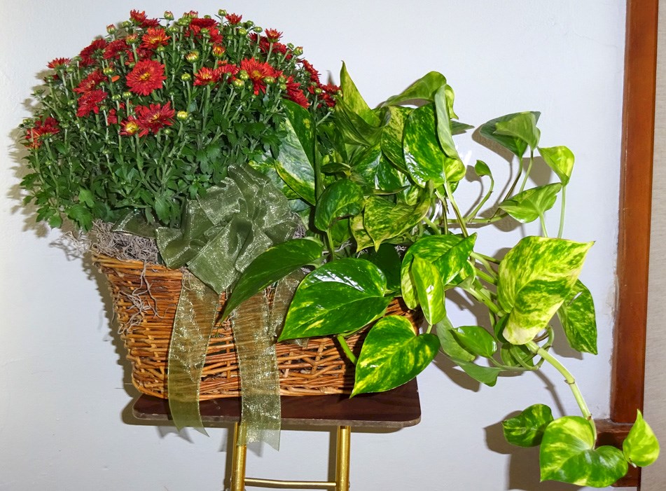 Flowers from The Muth Hunting Party