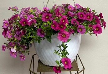 Flowers from Betty Sinkey, Dennis Sinkey, and Cathy Johnson