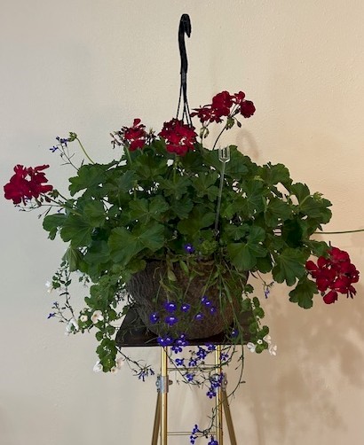 Flowers from Wall Economic Development
