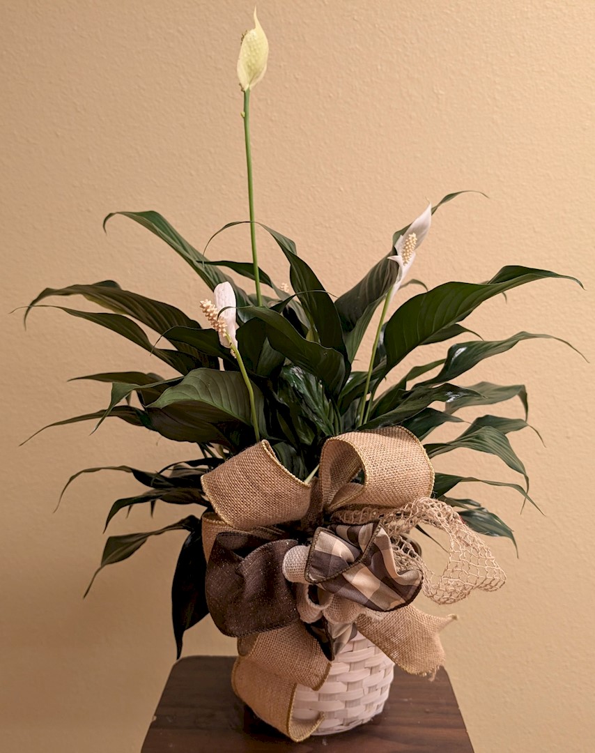 Flowers from Your Union Family