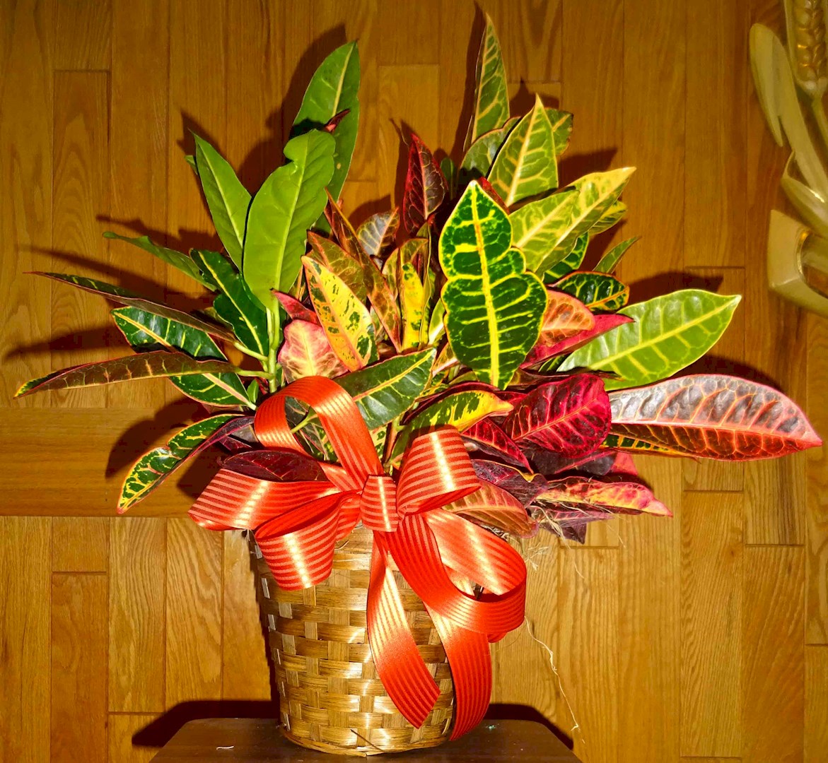 Flowers from Jason, Bonnie, Marissa & Aiden Bauder