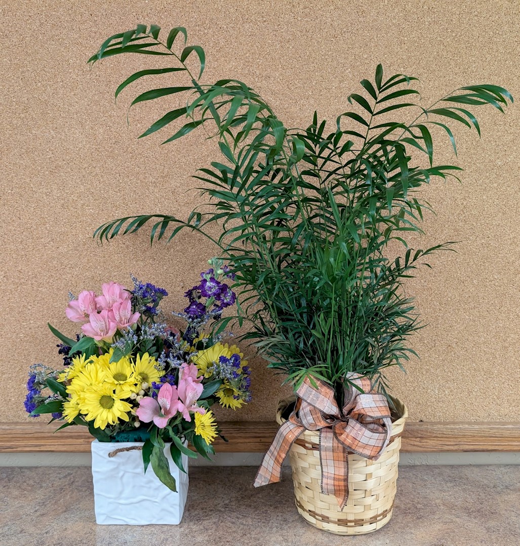 Flowers from The Dalys: Brennan, Vicki, John, Emily, and Flynn, and Brett and Haylee