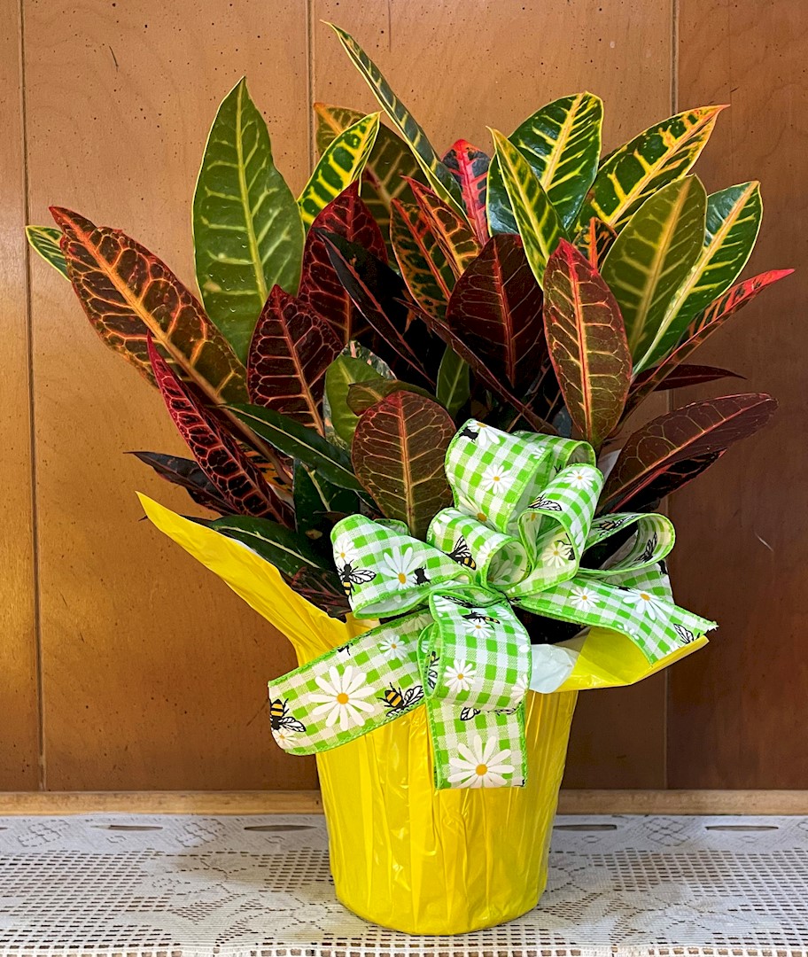 Flowers from Anna Hightower and Tony Crump