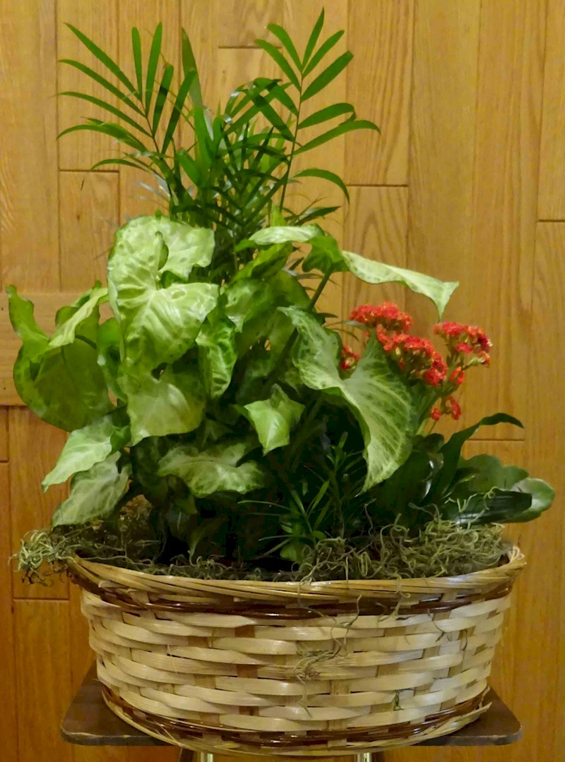 Flowers from Steve & Sheila Sample
Jake & Keirrah Randle