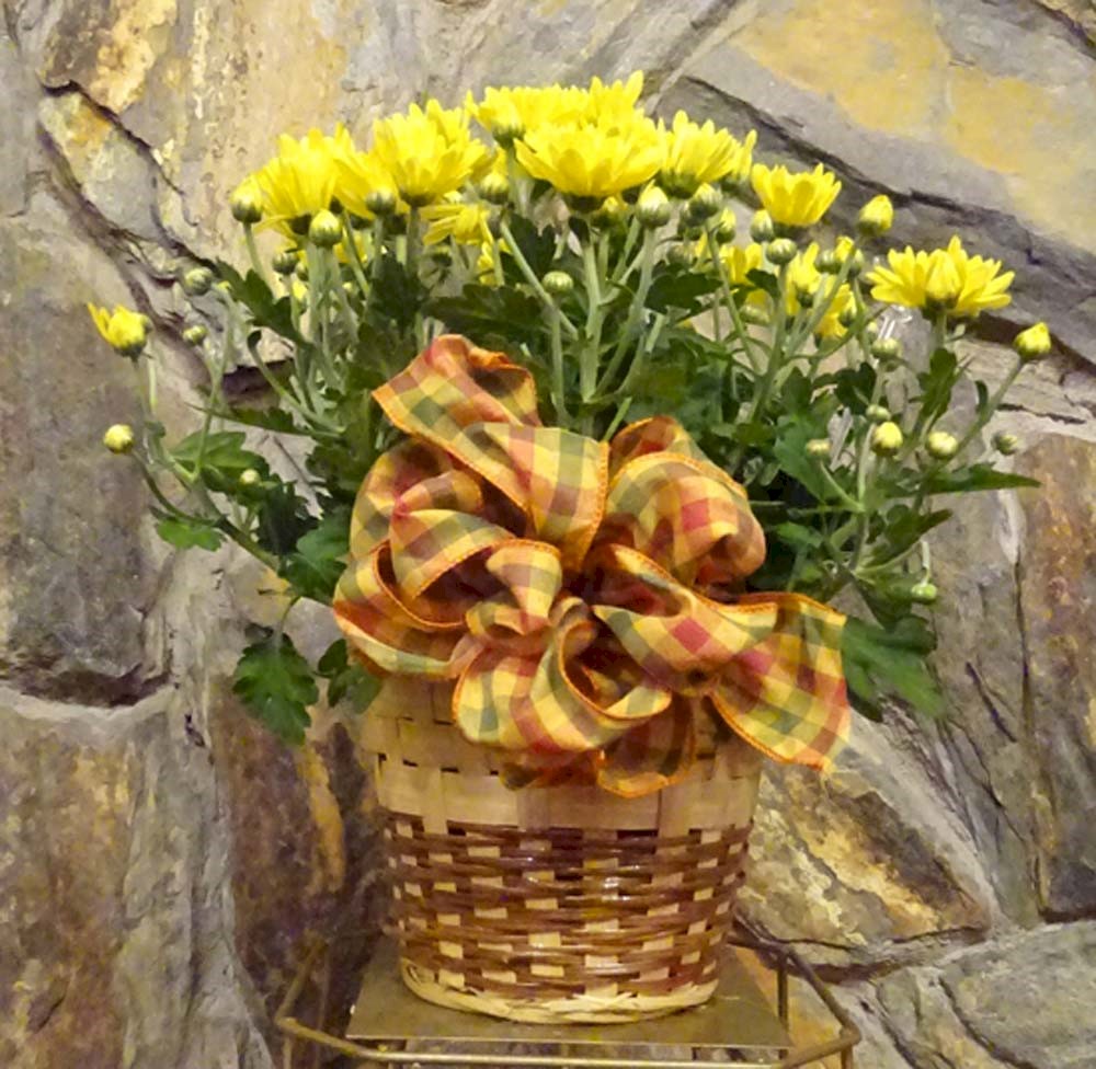 Flowers from Dakota Country Pharmacy