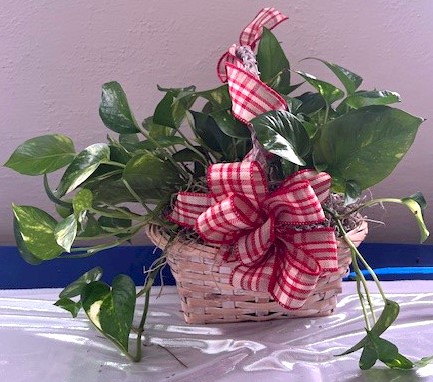 Flowers from Your Friends at Premier Bankcard