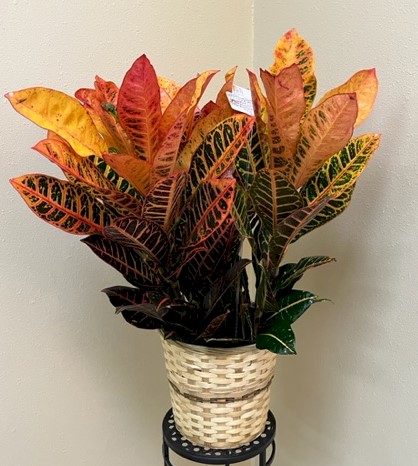 Flowers from Kadoka Oil & Discount Fuel
Mark & Tammy Carlson and Family