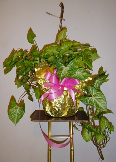 Flowers from The Bush's, the Lester's, and the Wilhelm's